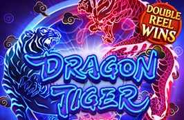 Dragon Tiger Luck